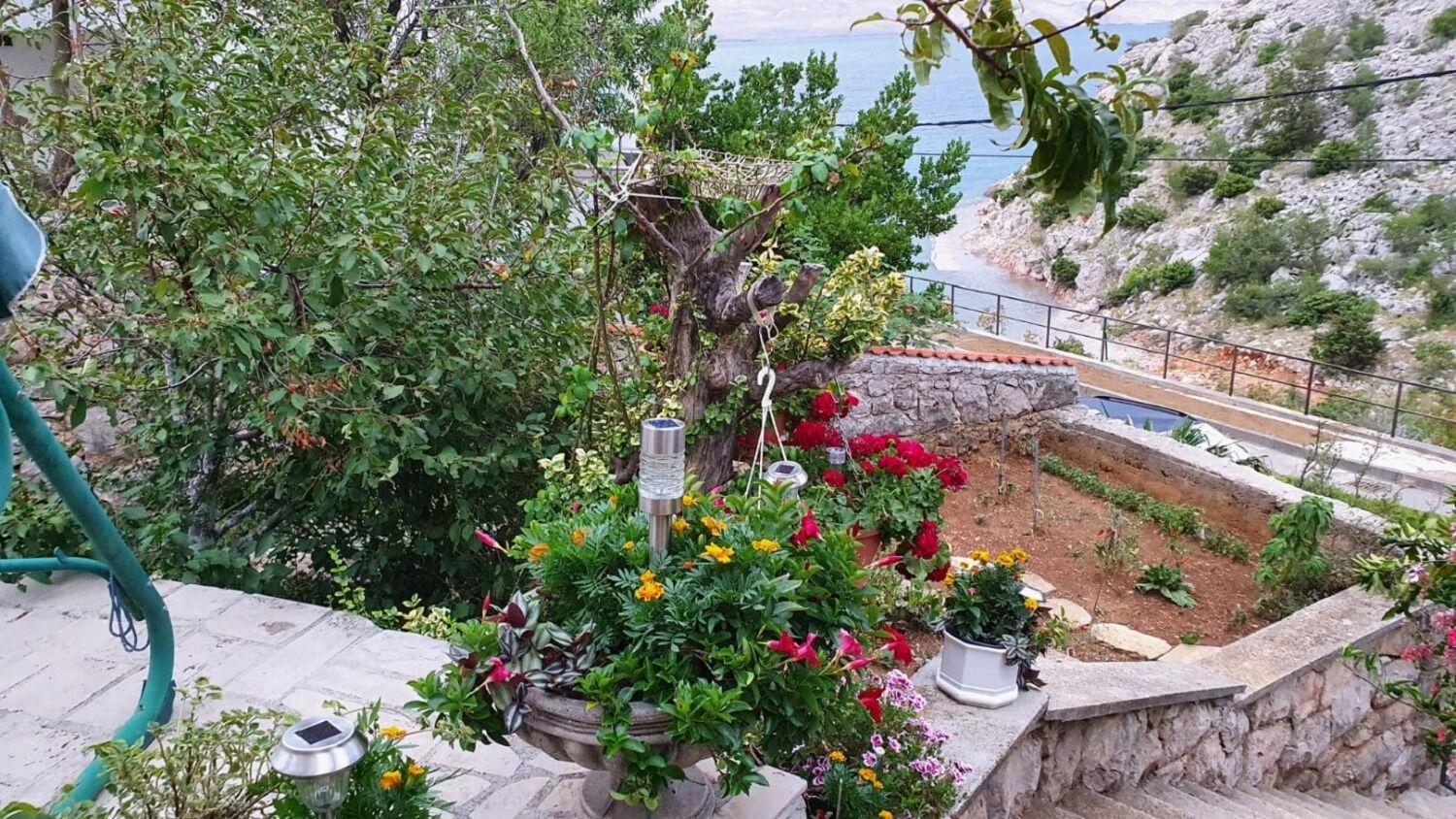 Apartment Ivan Ribarica Dış mekan fotoğraf